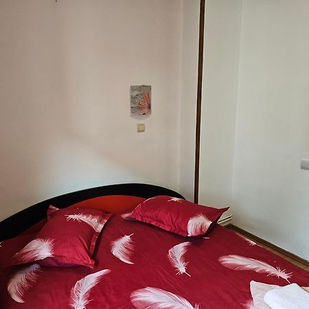 Villa Foisor Buşteni Extérieur photo