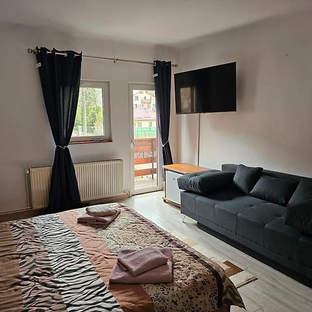 Villa Foisor Buşteni Extérieur photo