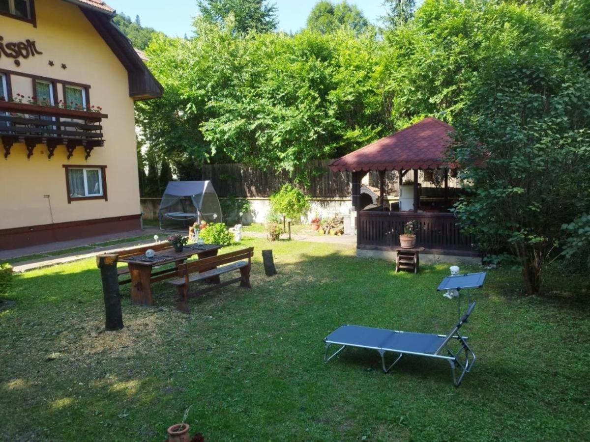 Villa Foisor Buşteni Extérieur photo