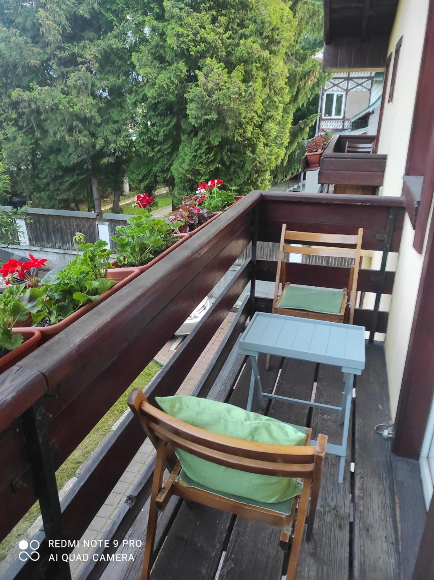 Villa Foisor Buşteni Extérieur photo