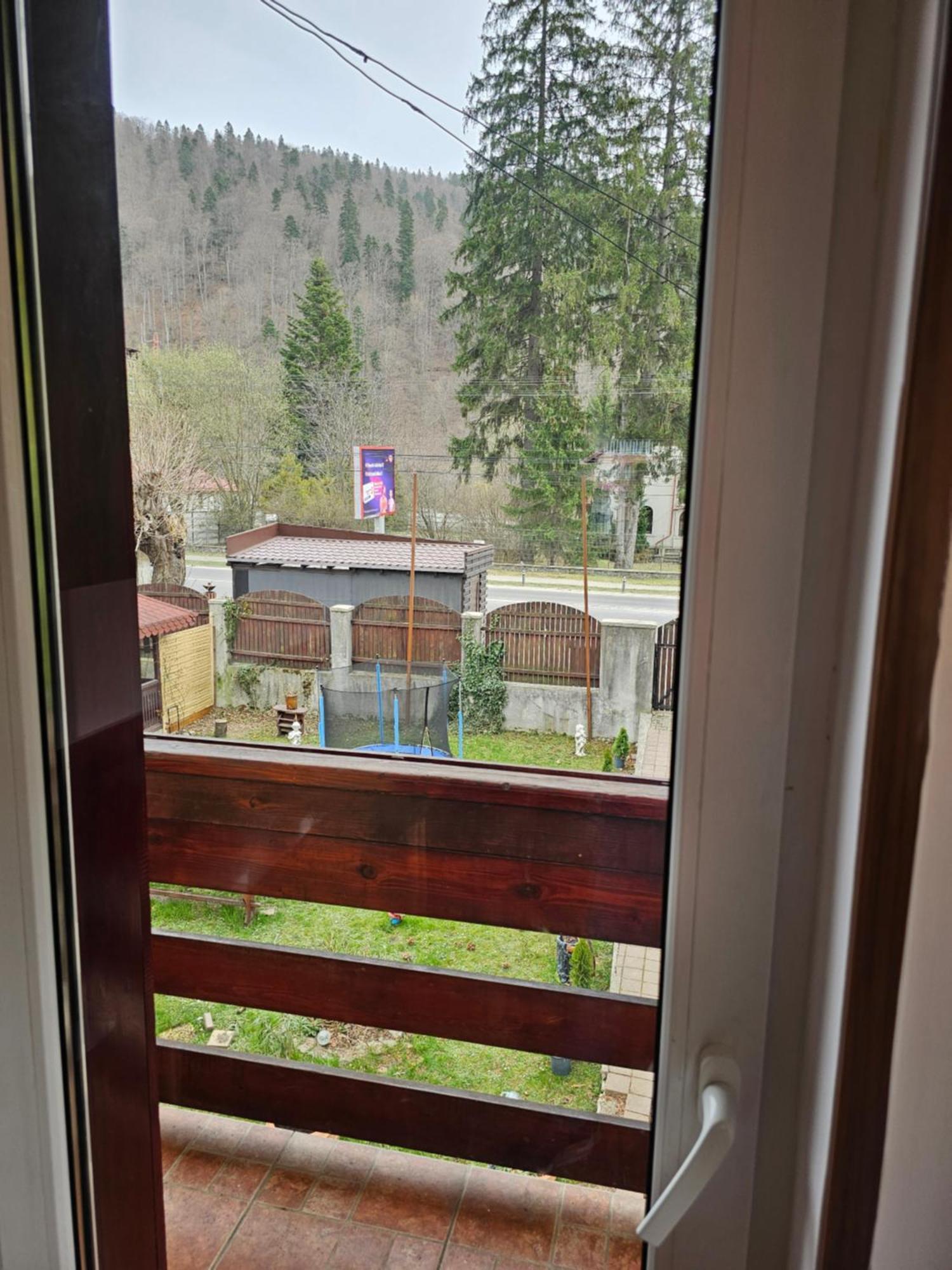 Villa Foisor Buşteni Extérieur photo